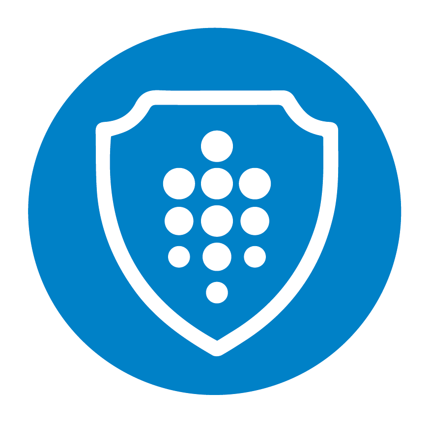 Integrity_Values_Icon_no_wording